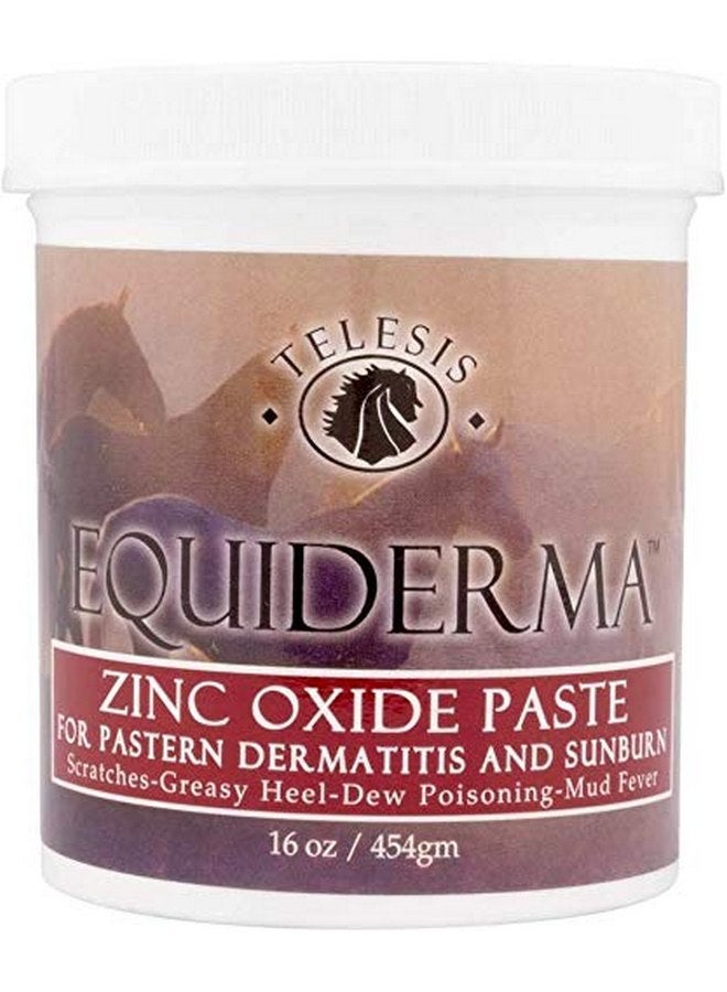 EQUIDERMA (2 Pack) Horse Skin Lotion and Zinc Oxide Paste 16oz with 10ct pet Wipes - Image 2