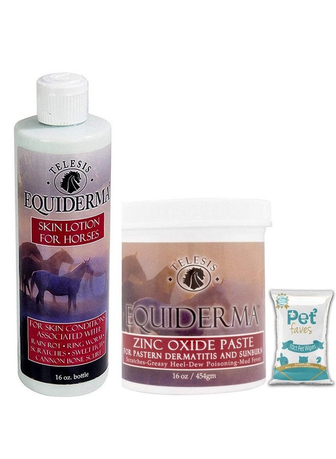 EQUIDERMA (2 Pack) Horse Skin Lotion and Zinc Oxide Paste 16oz with 10ct pet Wipes - Image 1