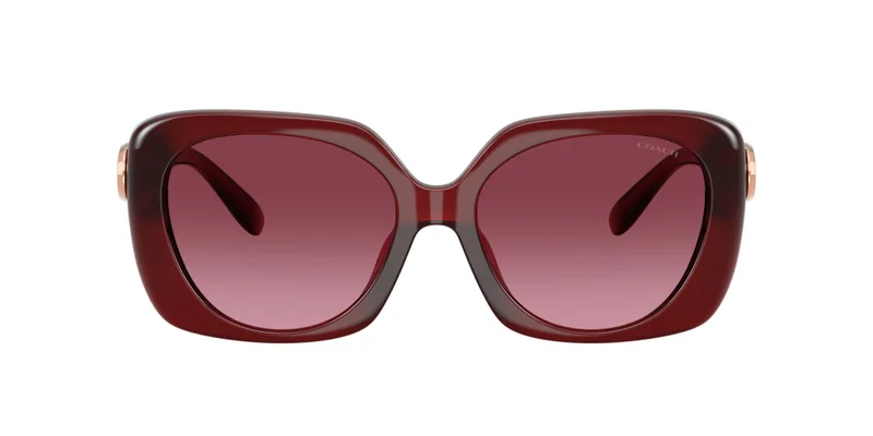 COACH Coach Woman Injected Sunglasses