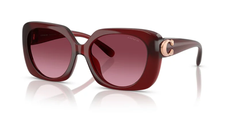 COACH Coach Woman Injected Sunglasses