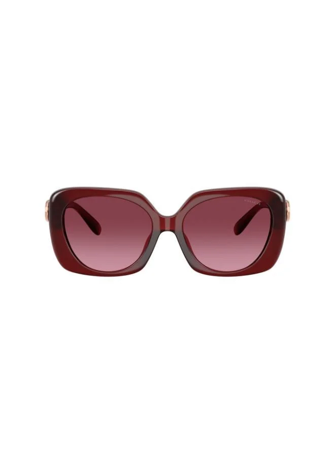 COACH Coach Woman Injected Sunglasses