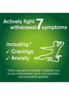 nicorette Fruitfusion 4 Mg Gum Nicotine 105 Pieces  - Image 5
