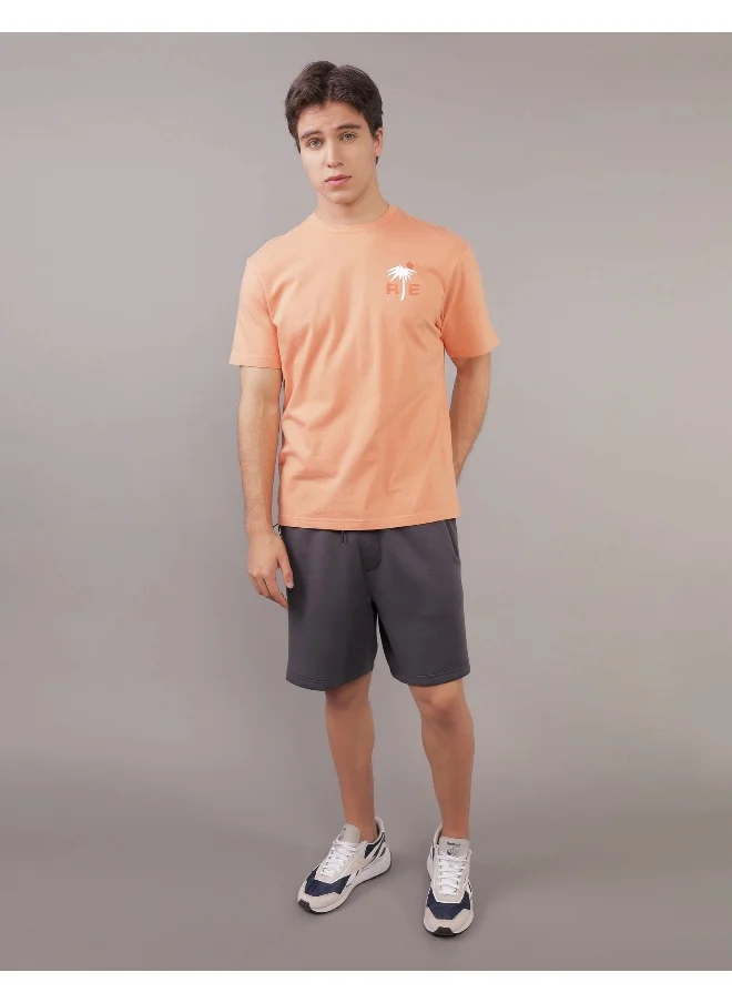 American Eagle Logo Crew Neck T-Shirt