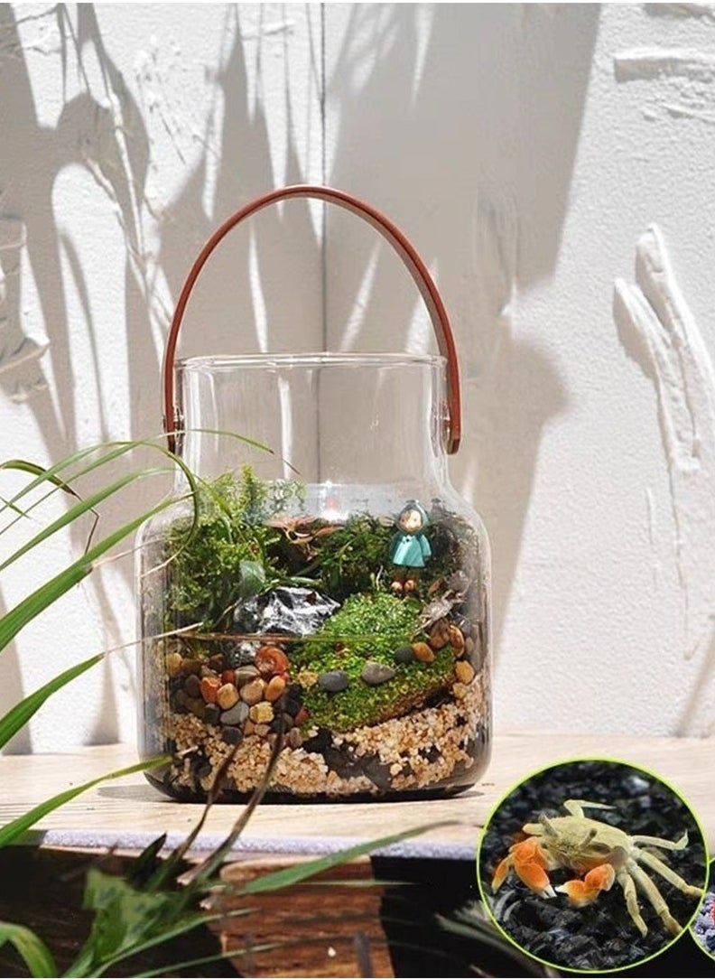 Generic Glass Tank for Terrarium, Agriculture, and Small Ornamental Fish – Beautifully Crafted Glass Bowl with Leather Handle – Ideal for Plants, Decorative Gardens, and Small Aquatic Pets  - Image 3