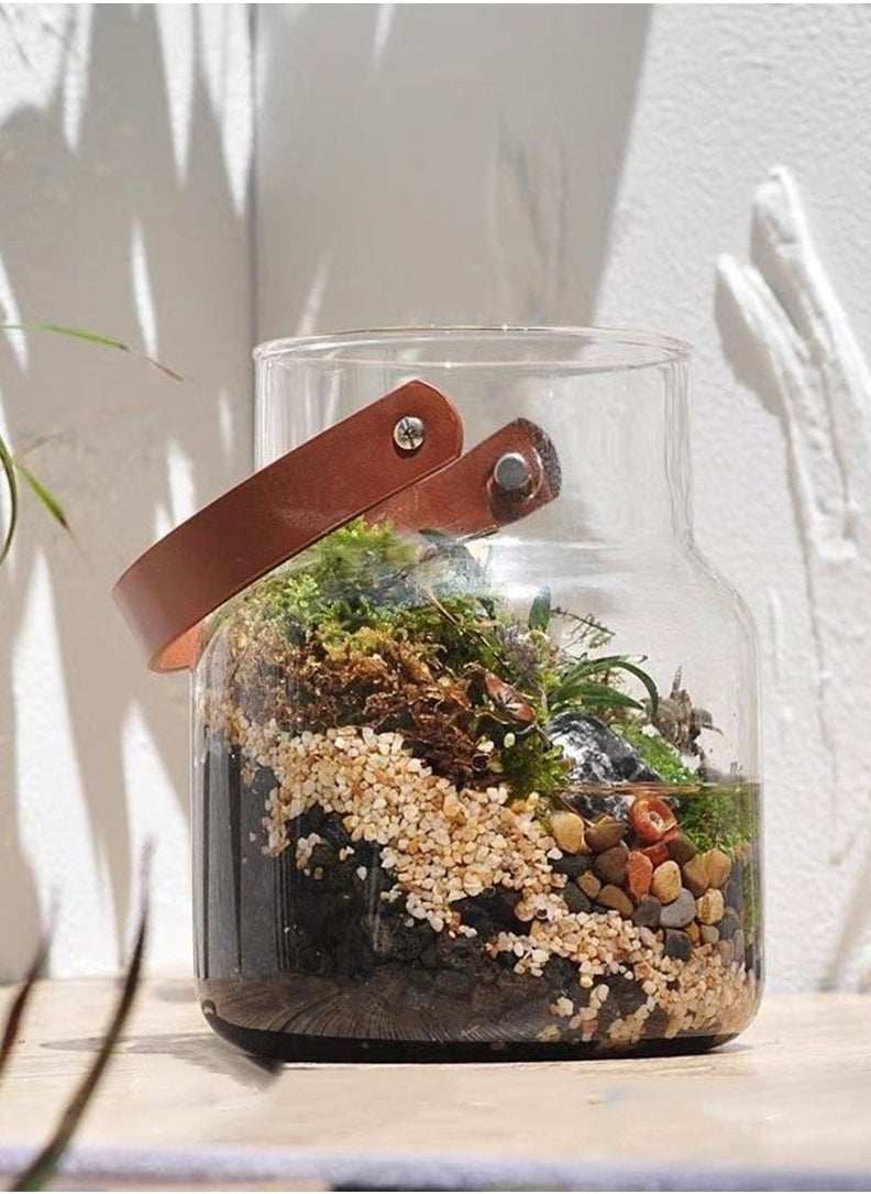 Generic Glass Tank for Terrarium, Agriculture, and Small Ornamental Fish – Beautifully Crafted Glass Bowl with Leather Handle – Ideal for Plants, Decorative Gardens, and Small Aquatic Pets  - Image 4