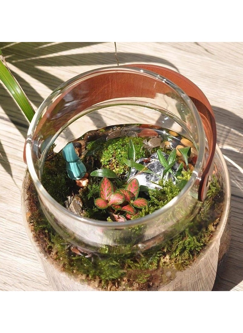 Generic Glass Tank for Terrarium, Agriculture, and Small Ornamental Fish – Beautifully Crafted Glass Bowl with Leather Handle – Ideal for Plants, Decorative Gardens, and Small Aquatic Pets  - Image 5