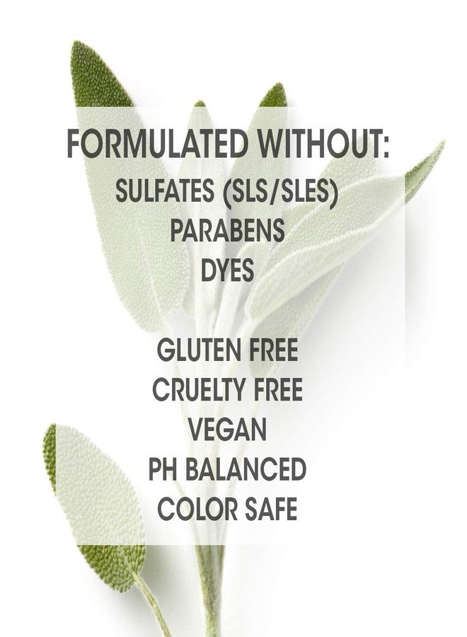 SEVEN Hair Care Satara Volume Conditioner for Women & Men, Sulfate + Paraben Free, Cruelty Free, Argan Oil, Pro Vitamin B5, Hydrolyzed Quinoa, Grapeseed Oil for Flat + Limp Hair Made in USA, 32 oz - Image 3