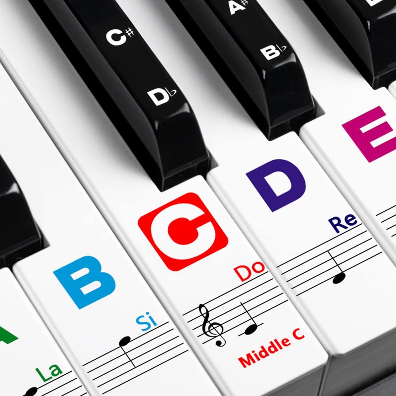 Eison Piano Keyboard Stickers for Beginners Removable Piano Stickers for Keys 8861544937 Colorful 