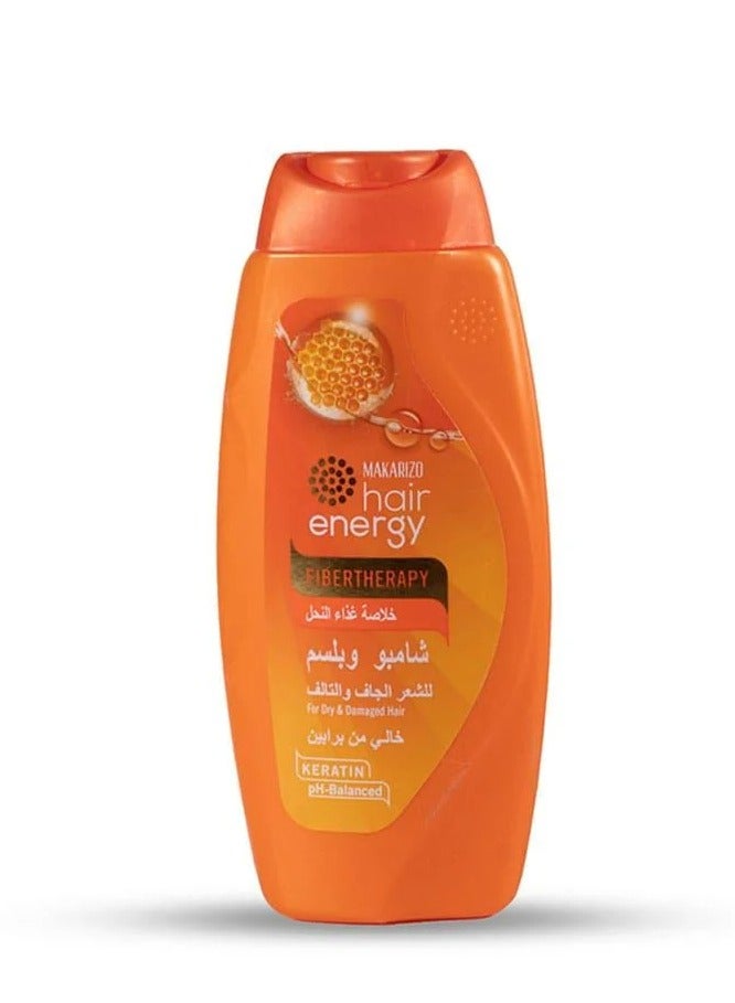 Macarizo Shampoo & Conditioner for Dry & Damaged Hair with Bee Food - 170 ml