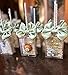XINHPKGG 35pcs 35x 25x 138 Clear Rice Krispie Treat Boxes Cakesicle Box Clear Favor Boxes Macaron Treat Box Party Favors Box - Image 4