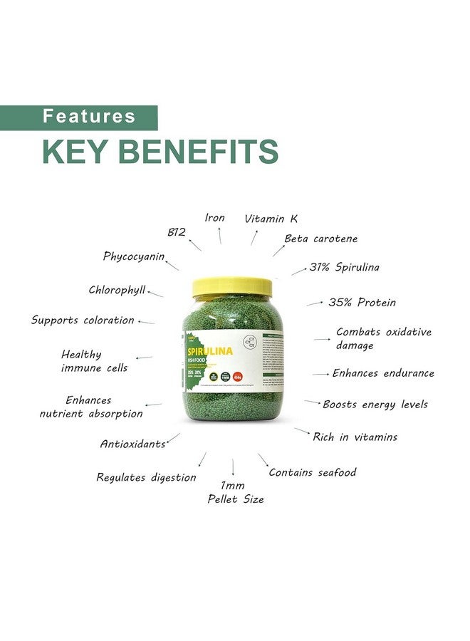 طعام أسماك 31% سبيرولينا من أوبتيموم تشويس | 450 جرام | علف أسماك لجميع الأسماك الاستوائية المتوسطة والبالغة | حبيبات 1 مم | لون أفضل ونمو أفضل، 1 قطعة - Image 3