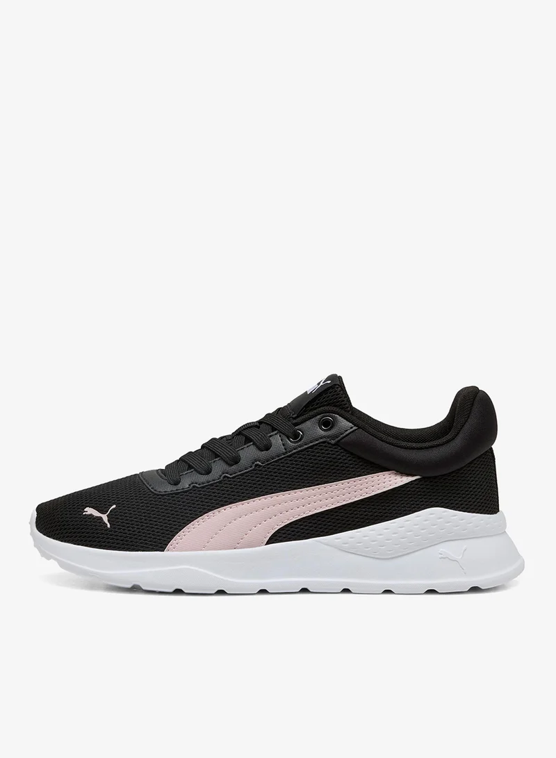 بوما أنزارون فيفيد