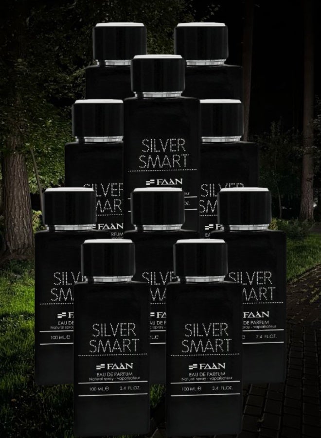 Faan 10 Pieces Silver Smart Perfume 100ML - Image 1