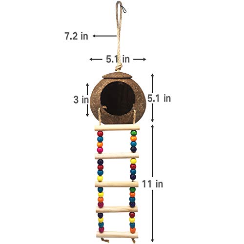 Eeaivnm Hanging Coconut Birds House with Ladder,Natural Coconut Fiber Shell Bird Nest for Parrot Parakeet Lovebird Finch Canary,Coconut Hide Birds Swing Toys for Hamster,Bird Cage Accessories,Pet Bird Supply - Image 3