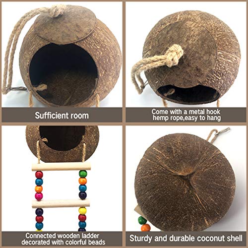 Eeaivnm Hanging Coconut Birds House with Ladder,Natural Coconut Fiber Shell Bird Nest for Parrot Parakeet Lovebird Finch Canary,Coconut Hide Birds Swing Toys for Hamster,Bird Cage Accessories,Pet Bird Supply - Image 2