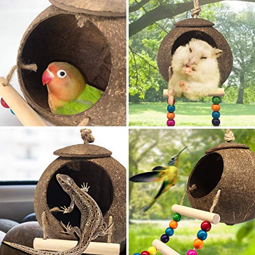 Eeaivnm Hanging Coconut Birds House with Ladder,Natural Coconut Fiber Shell Bird Nest for Parrot Parakeet Lovebird Finch Canary,Coconut Hide Birds Swing Toys for Hamster,Bird Cage Accessories,Pet Bird Supply - Image 4