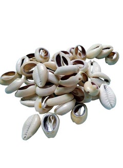 100 Pcs Natural Cowrie Shells Beads Oval Beach Seashells African Shells For Hair Jewelry Making Diy Craft - pzsku/ZCEEBC13723077A0FAFCFZ/45/_/1734348164/95309a22-45e2-4e0e-bf7f-e5cac5ec99e3