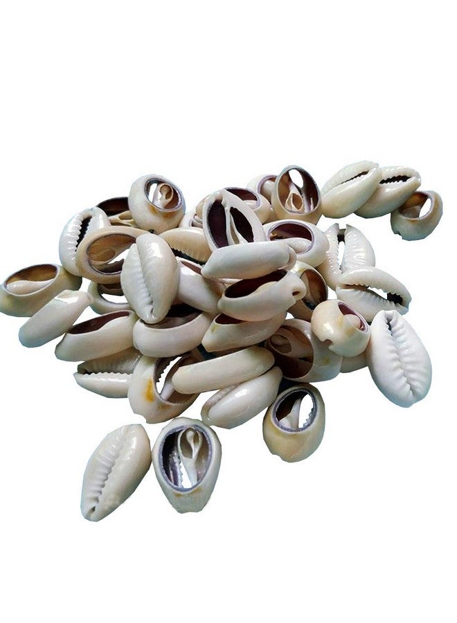 ccHuDE 100 Pcs Natural Cowrie Shells Beads Oval Beach Seashells African Shells For Hair Jewelry Making Diy Craft - Image 1