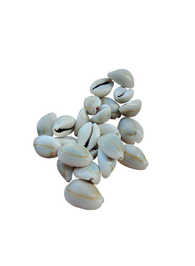 ccHuDE 100 Pcs Natural Cowrie Shells Beads Oval Beach Seashells African Shells For Hair Jewelry Making Diy Craft - Image 2