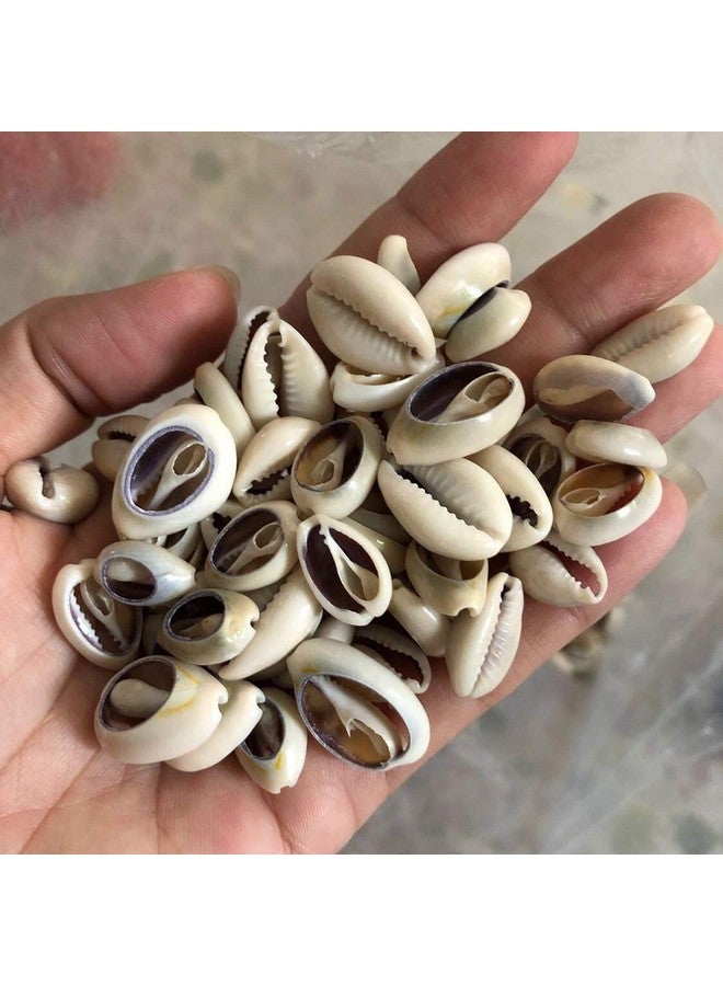 ccHuDE 100 Pcs Natural Cowrie Shells Beads Oval Beach Seashells African Shells For Hair Jewelry Making Diy Craft - Image 5