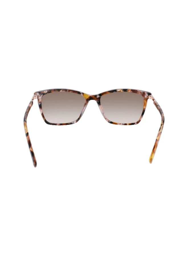 DKNY  FULL RIM ACETATE DKNY SUN DK539SN  | Best Price UAE
