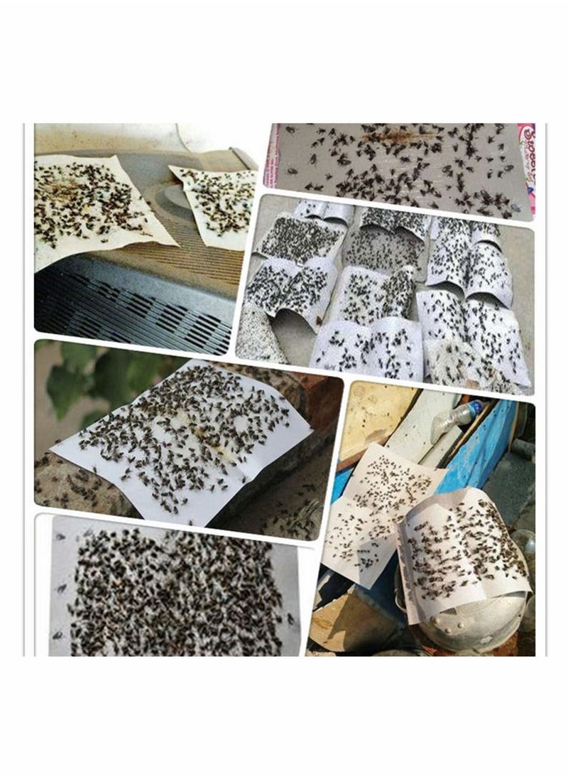 20PCS Fly Sticker Sticky Traps for Flying Plant Insect Such as Fungus Gnats and Aphids