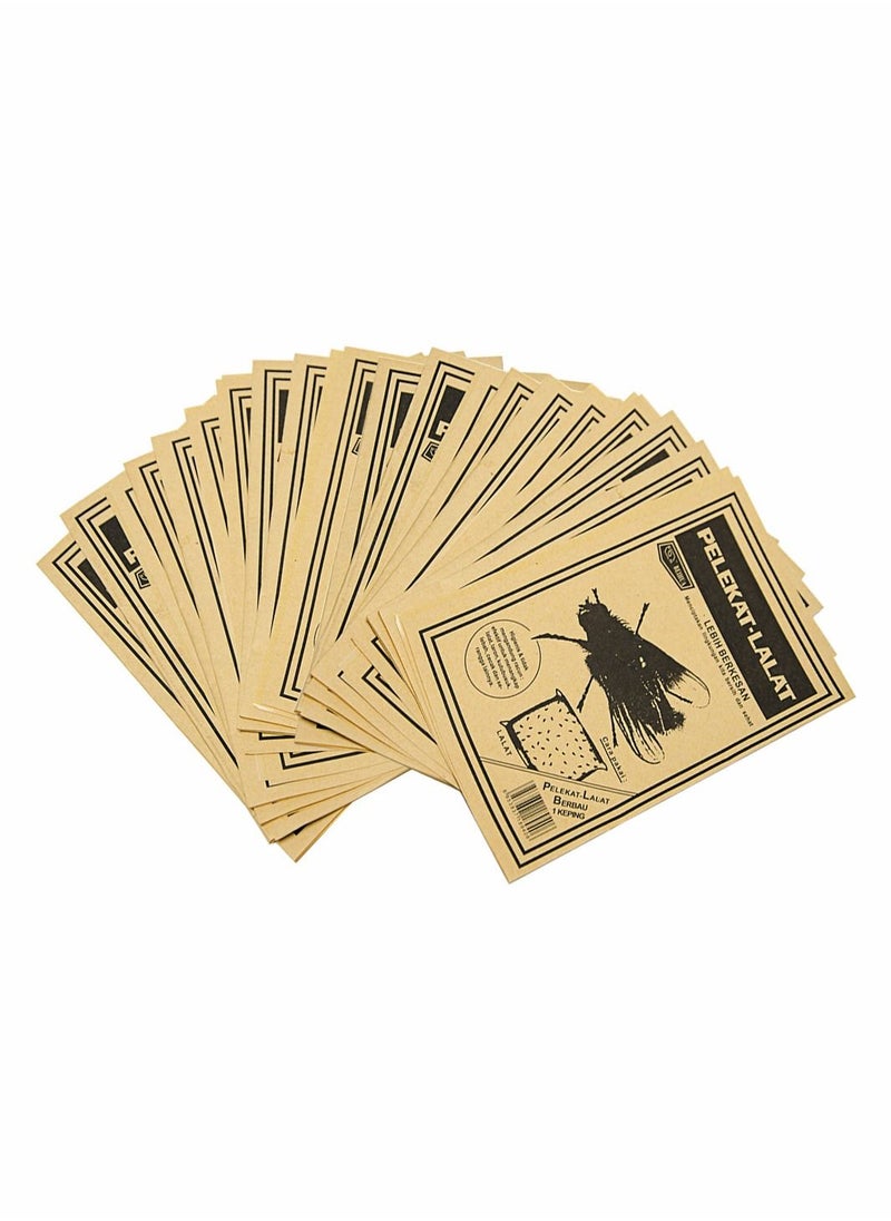 20PCS Fly Sticker Sticky Traps for Flying Plant Insect Such as Fungus Gnats and Aphids