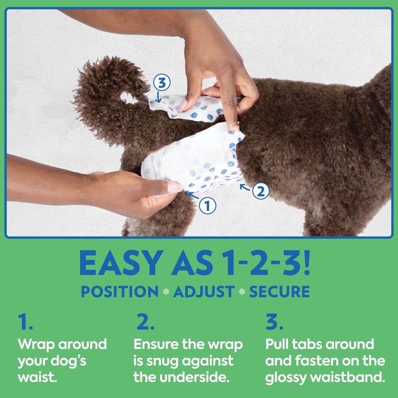 Out! PetCare Disposable Male Dog Wraps, Puppy Pee Wraps, Belly Bands for Dogs, Leak Proof, Wetness Indicator, Puppy and Doggie Diaper for Peeing, Medium/Large, 32 Count - Image 3