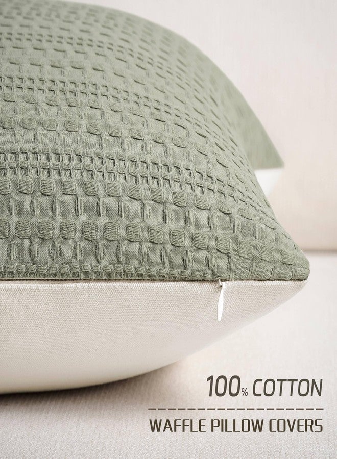 ZeeMart 100% Cotton Waffle Textured Throw Pillow Covers Set of 2, 20x20 Inch Olive, Soft Farmhouse Decorative Couch Pillow Cases Sage Green Cushion Covers for Sofa Bed Living Room Home Decor - Image 2