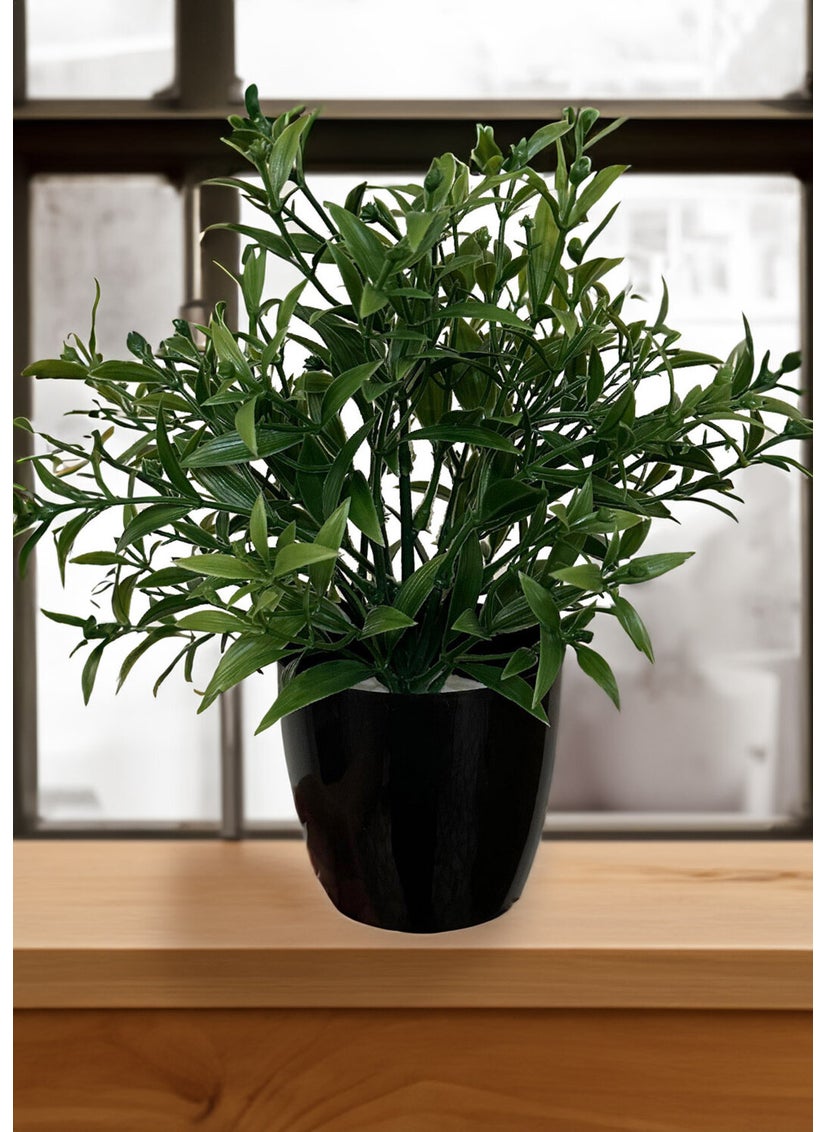 Artificial Flower Black Potted Green Bunch with Dense Branches - pzsku/ZCEECB61852CB8FD787DEZ/45/_/1725724259/ab70cb05-83b3-420c-8d0b-94499c9f61f9