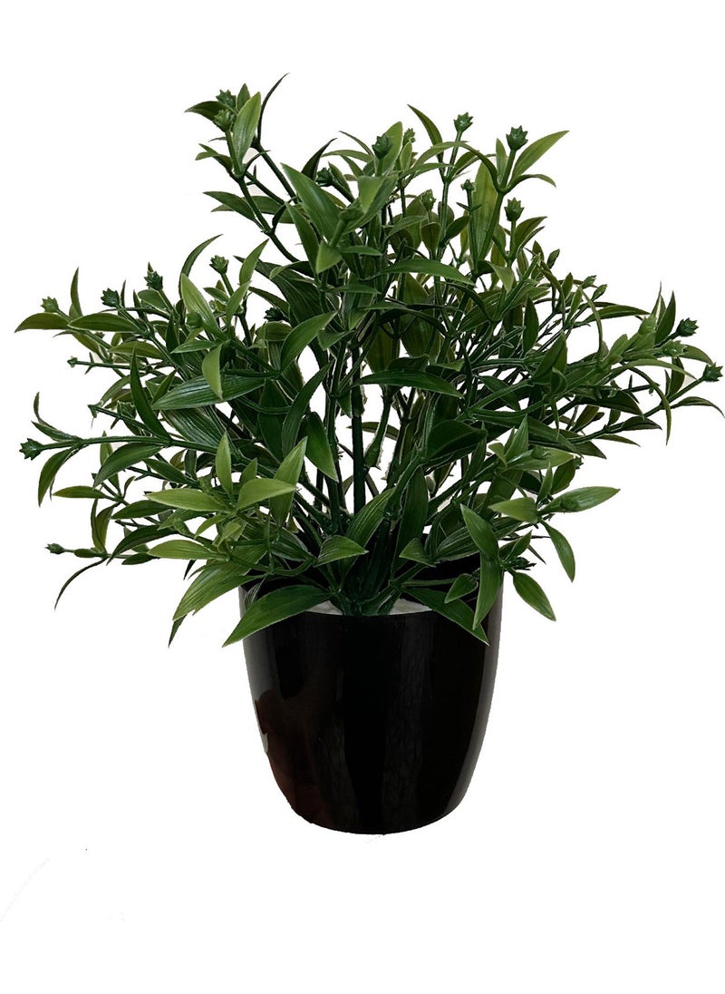 Artificial Flower Black Potted Green Bunch with Dense Branches - pzsku/ZCEECB61852CB8FD787DEZ/45/_/1725724261/52c7e563-d5db-4073-8e8c-1ecb3c1b0cbf