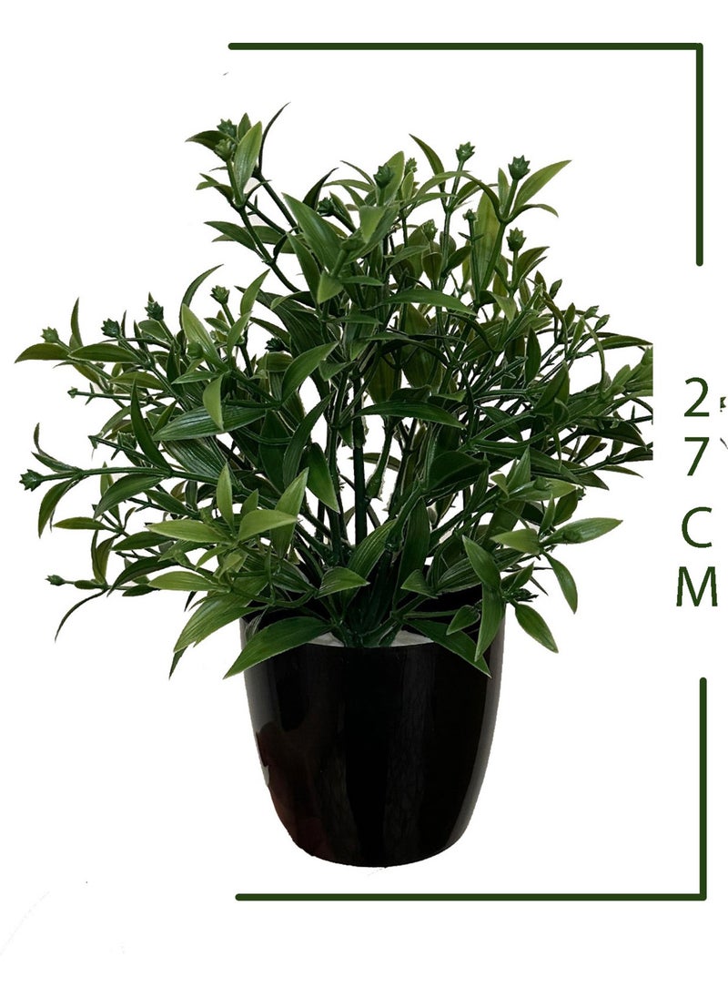 Artificial Flower Black Potted Green Bunch with Dense Branches - pzsku/ZCEECB61852CB8FD787DEZ/45/_/1730752349/2ce01b14-0bfe-4f68-8e07-6d75e9922f62