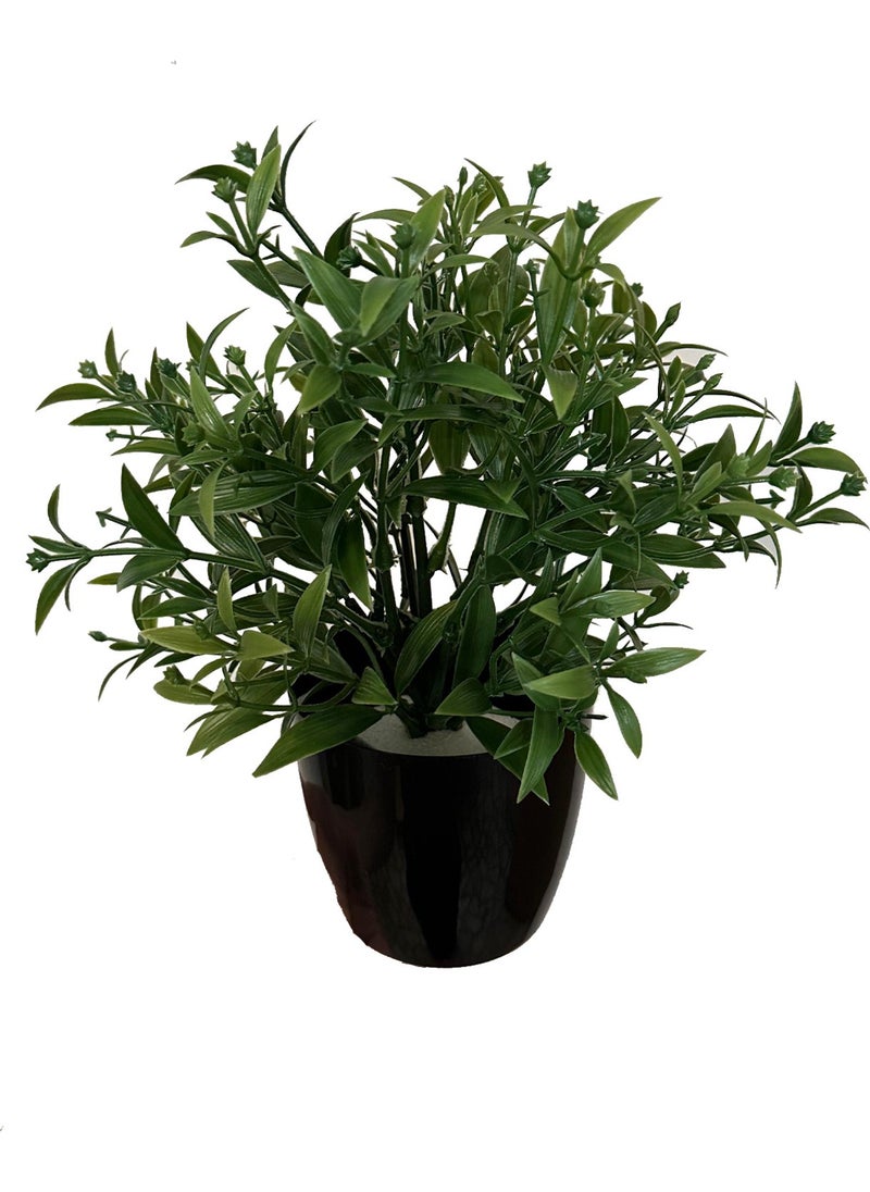 Artificial Flower Black Potted Green Bunch with Dense Branches - pzsku/ZCEECB61852CB8FD787DEZ/45/_/1730752351/04b88d4f-d5cf-4d79-af94-def5b9ba6041