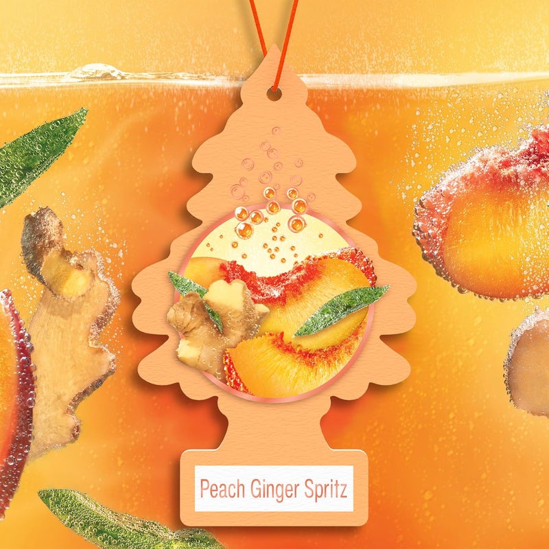 Little Trees Car Air Freshener | Hanging Tree Provides Long Lasting Scent for Auto or Home | Peach Ginger Spritz, 24 Air Fresheners - Image 3