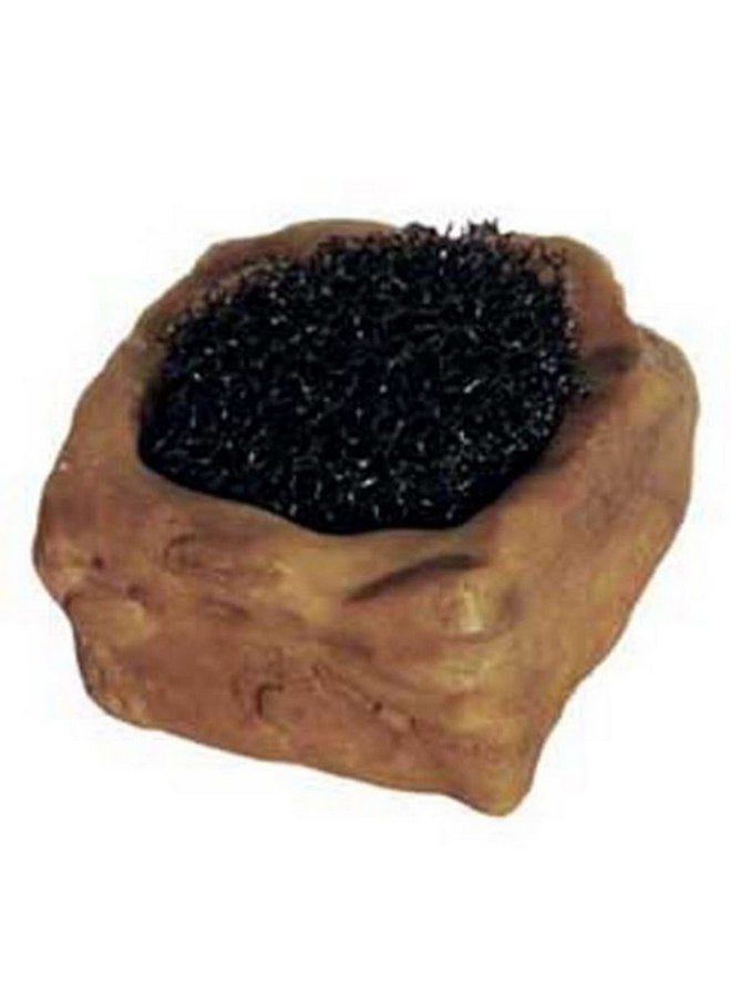 إكسو تيرا طبق ماء اللافقاريات Exo Terra مع الرغوة