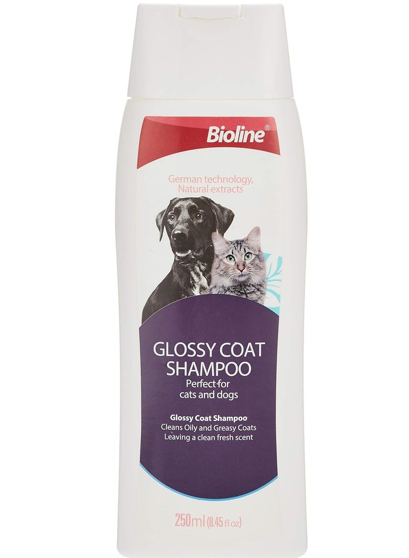 Bioline Glossy Coat Shampoo Clean Oily And Greasy Coats For Cats And Dogs 250ML