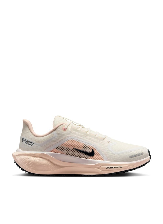 Nike Pegasus 41 Gore-tex Women womens Sneaker - Image 1