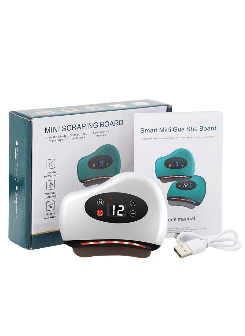 DubaiGallery 1 Piece 9 Gear Charging Electric Intelligent Scraping Board Universal Constant Temperature Full Body Massager Facial Scraping Instrument Meridian  - Image 1