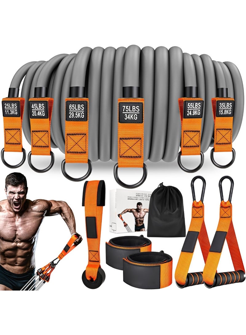 Oasisgalore 300 LBS Resistance Bands Set for Men with Handles，Exercise Fitness Bands with Carry Bag for Muscle Training, Home Gym Equipment - Image 1