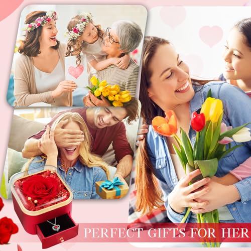 Beferr Gifts for Mom Preserved Real Rose with Red Necklace Eternal Roses Forever Flowers for Delivery Anniversary Birthday Mothers Day for Wife Mother Grandma Women Her Daughter Girlfriend - Image 3