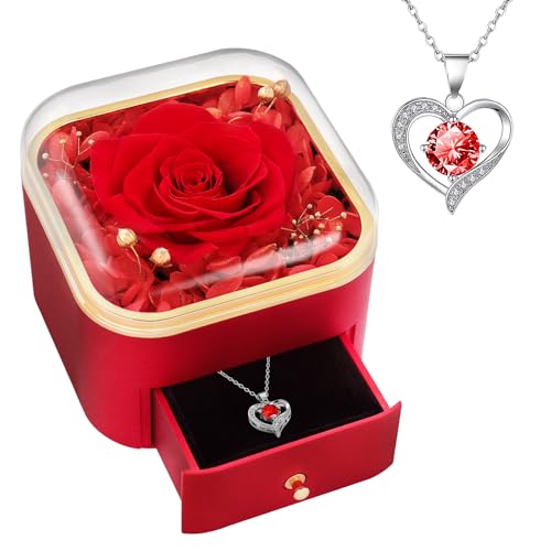 Beferr Gifts for Mom Preserved Real Rose with Red Necklace Eternal Roses Forever Flowers for Delivery Anniversary Birthday Mothers Day for Wife Mother Grandma Women Her Daughter Girlfriend - Image 1
