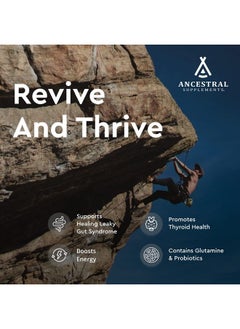 Ancestral Supplements أمعاء البقر التي تتغذى على العشب مع المعدة (كرشة)، 3000 ملجم، مكمل هضمي يدعم صحة الجهاز الهضمي والأمعاء والارتجاع الحمضي، غير معدل وراثيًا، 180 كبسولة  - Image 3