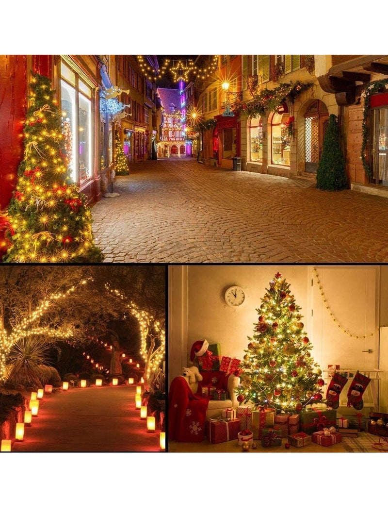 PAMEER - Warm White LED String Lights Black Wire Plug-in 60ft 248 LEDs String Home Decorative LED Strip for Christmas EID Ramadan Diwali and Wedding Parties Decoration Box Button Control 8 Modes - Image 1