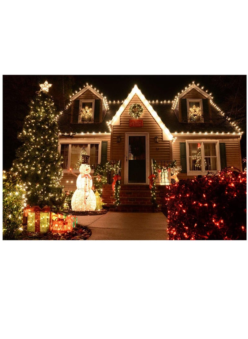 PAMEER - Warm White LED String Lights Black Wire Plug-in 60ft 248 LEDs String Home Decorative LED Strip for Christmas EID Ramadan Diwali and Wedding Parties Decoration Box Button Control 8 Modes - Image 1