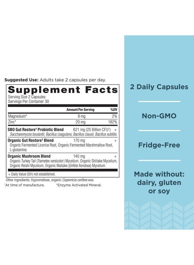 Ancient Nutrition بروبيوتيك التغذية القديمة، بروبيوتيك SBO لاستعادة الأمعاء 60 حبة، يعزز صحة الأمعاء، دعم الهضم والمناعة، خالي من الغلوتين، مزيج الأطعمة الخارقة القديمة، 25 مليار وحدة تشكيل مستعمرات* لكل حصة - Image 2