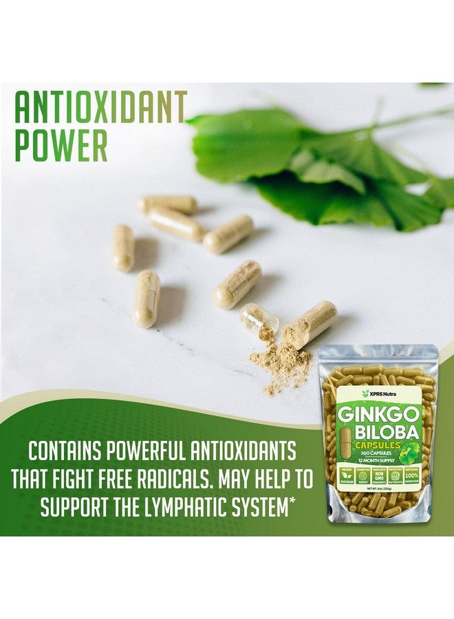 XPRS Nutra Ginkgo Biloba Capsules - Gingko Biloba Encapsulated Supplements for Cognition - Vegan Friendly Ginkoba Biloba - Immunity Boosting Ginkgo Biloba Capsules - 360 Count - Image 3