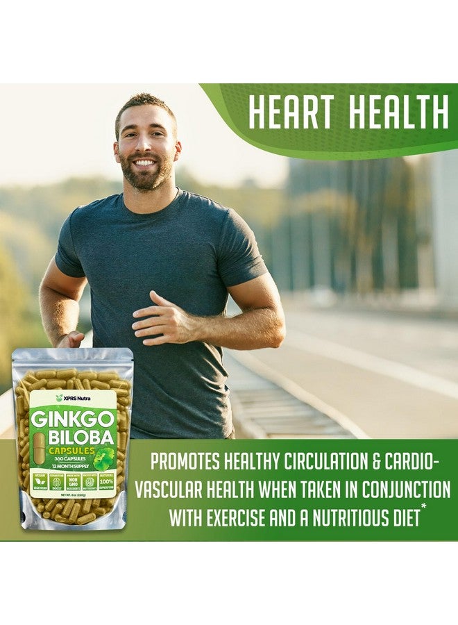 XPRS Nutra Ginkgo Biloba Capsules - Gingko Biloba Encapsulated Supplements for Cognition - Vegan Friendly Ginkoba Biloba - Immunity Boosting Ginkgo Biloba Capsules - 360 Count - Image 4