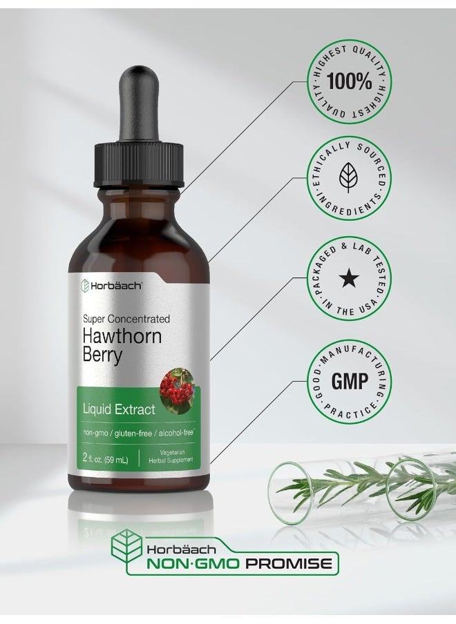 Horbaach Hawthorn Berry Extract | 2 fl oz | Alcohol Free Hawthorne Liquid Tincture | Vegetarian, Non-GMO, Gluten Free | by Horbaach  - Image 5