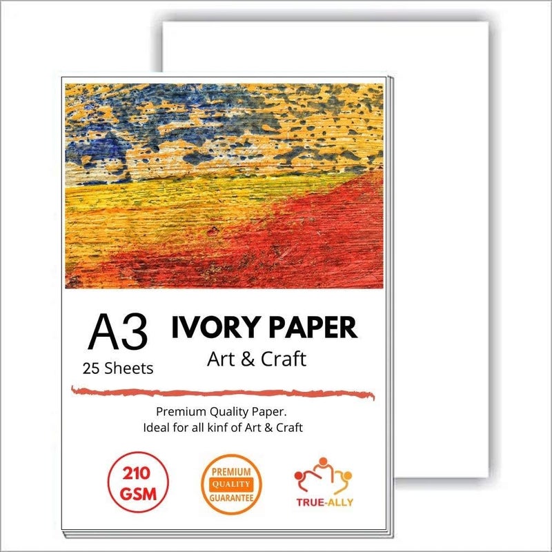 True-Ally 25 Sheets A3 Ivory Sheets - 210 GSM, | Sketching and Drawing Paper | Size - 16.5 inches x 11.5 inches x 0.1 inch (A3-25 Sheets) - Image 1