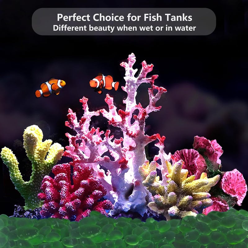 أحجار زجاج البحر QYGL - 0.9 رطل حصى زجاجي صقيل أخضر أحجار كريمة - مثالي لحصى أحواض السمك، حصى أحواض الأسماك، حشوات المزهريات، الحرف اليدوية DIY، وديكور المنزل - Image 4